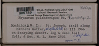 Image Associated With the Occurence